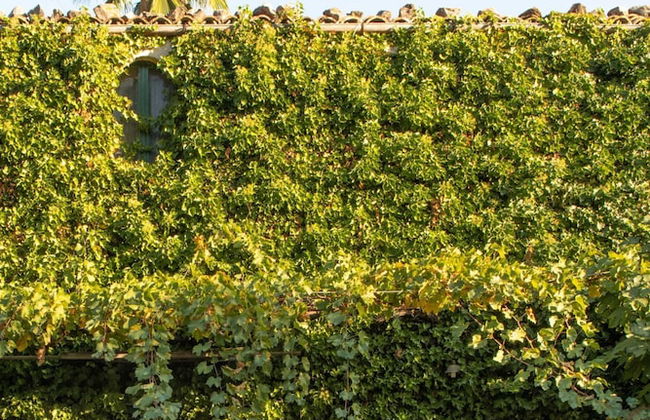 Baglio Scannale con Piscina by Wonderful Italy - Foto 38