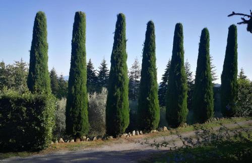 casa marconi - Foto 24