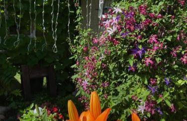 Ozierański Eden "Pod rzeźbami" - Photo 36