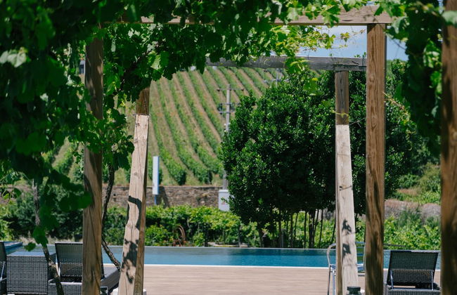 Quinta Vale de Sousa - Douro Valley - Foto 63