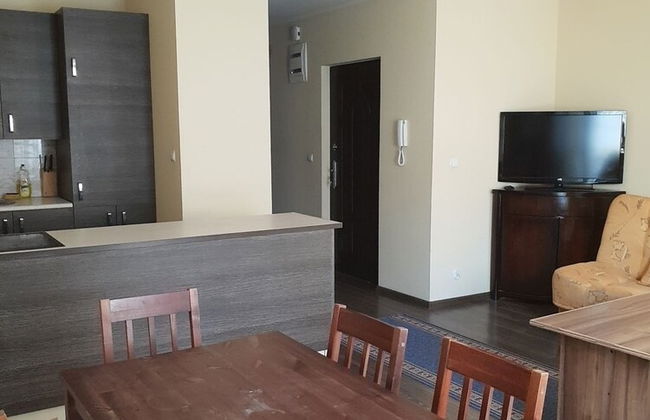 Apartamenty Dragon Elbląg - Foto 15