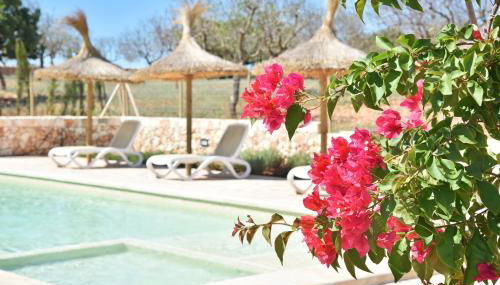 Finca Sonduri - Foto 3