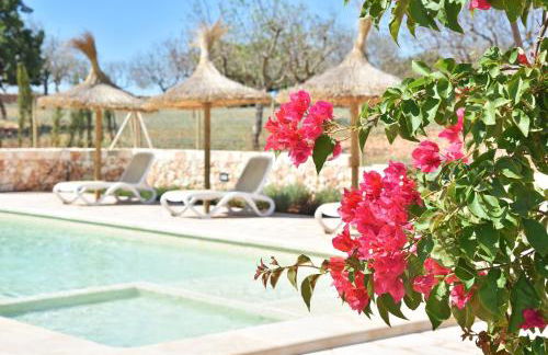 Finca Sonduri - Foto 3