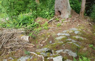 Haus Bergblick - Foto 54