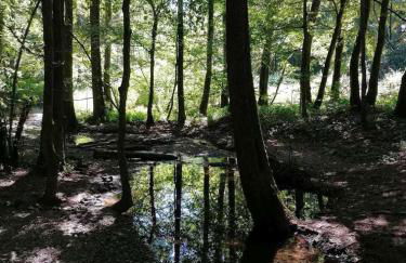 Casa de Alpaca - Photo 22