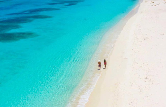 Bahía de las Águilas Speedboat Tour - Photo 4