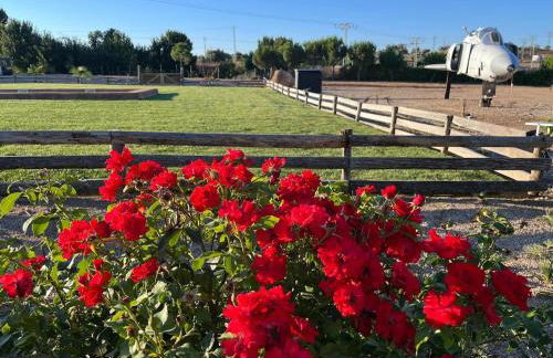 Finca Fuente Magan - Foto 14