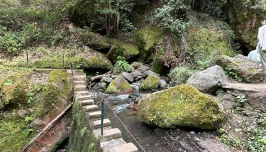 The House of Passos - Foto 3