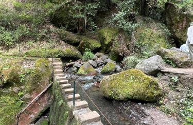 The House of Passos - Foto 3