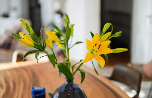 Cliffside Boho Villa - Foto 30