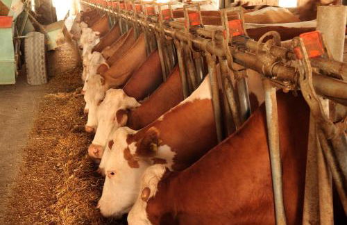 Agriturismo Villa Dafne - Foto 40