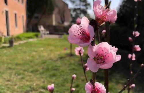 Ferienwohnung um`s Eck - Foto 31