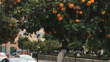 Victoria Luxury Penthouse - Photo 2