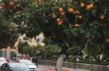 Victoria Luxury Penthouse - Photo 2