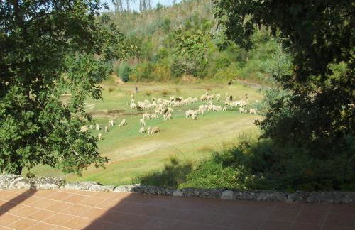 Mansion in Dao Valley by River Beach - Photo 60