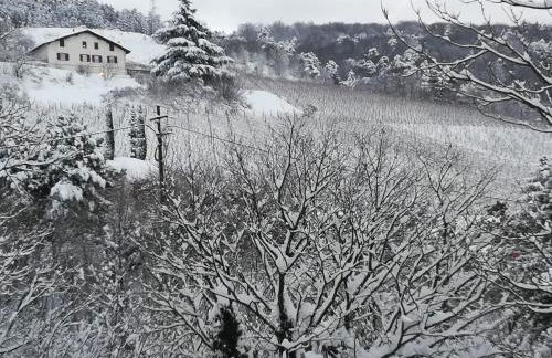 cottage lavanda e rosmarino - Foto 42