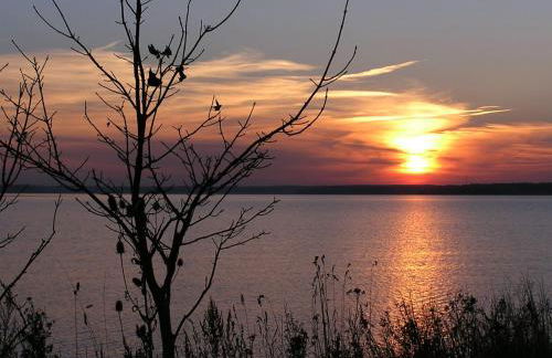 FEWO Muschel - Foto 28