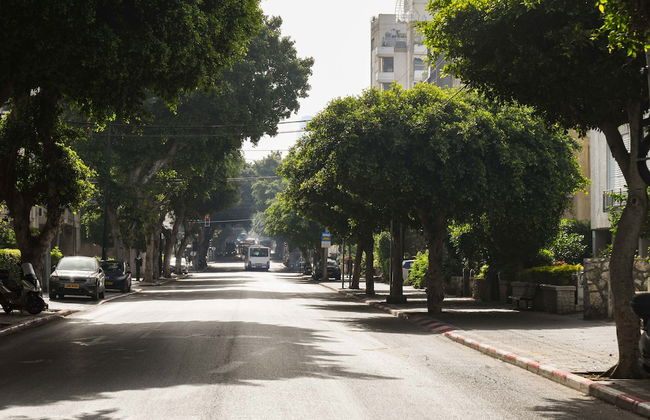 AirTLV Comfortable 3 BDRM in Old North - Foto 22