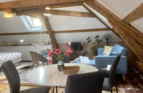 Appartements de Diane - JOIGNY - Foto 43