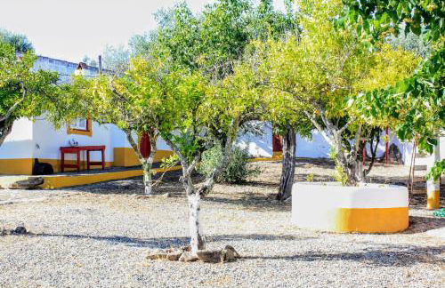 Monte da Tarouca no Alto Alentejo - Foto 7