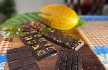 Vale das Rainhas - Photo 23