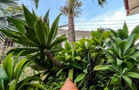 Pousada dos Sonhos - MP - Foto 70