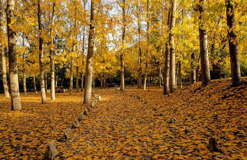 Apartahotel Al Alba - Foto 13