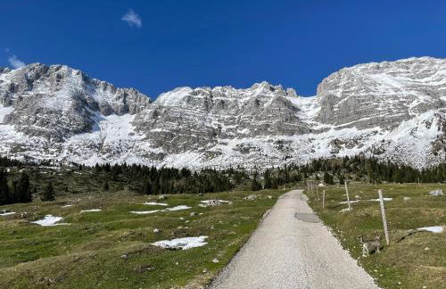 Forest Apartment Michael - Foto 22