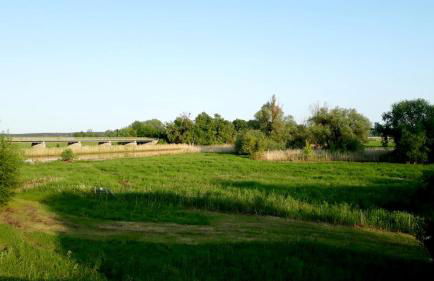 Ferienhaus Grüner Bungalow Kontaktloser CheckIn - Photo 43
