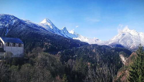 Reddish Deer House ::: Cadore Dolomiti - Foto 3