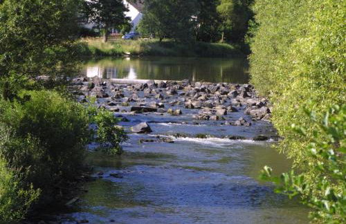 Apartment Chalet Wiedfluh in Waldbreitbach by Interhome - Foto 28