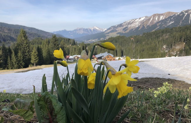 Bergheim Waeldele - Foto 58