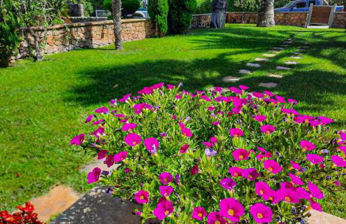 Villa Palma Posidi with Private pool - Foto 14