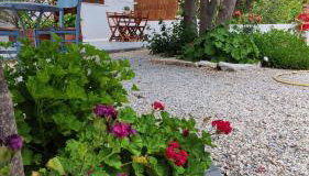 Dreamcatcher of Zeus - Foto 5, Garden