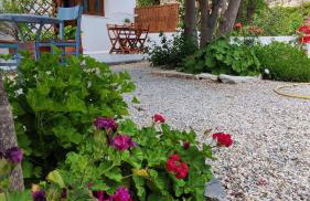 Dreamcatcher of Zeus - Foto 5