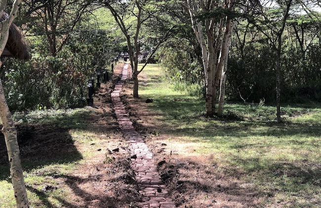 Isalaasha Bush Camp - Foto 53