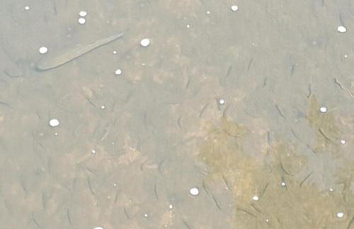 Ferienhaus Dreier-Ley - Foto 29