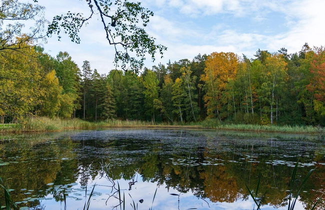 4 Person Holiday Home in Hovmantorp - Foto 4