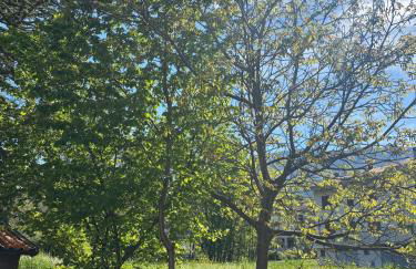 Il Giardino di Sant'Eufemia - Foto 64