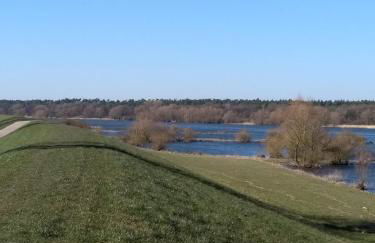 Krötenhof Barförde - Foto 48