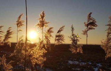 Haus am Meer - Foto 26