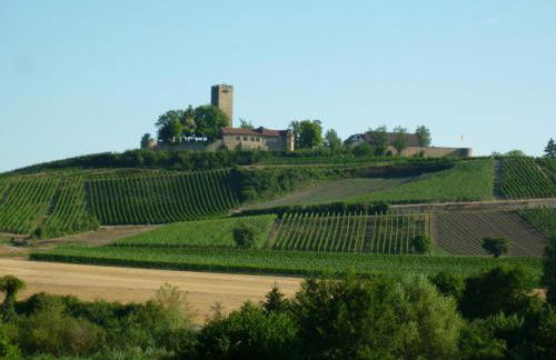 Haus am Sandsteinbruch - Foto 39