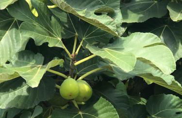 La casa di Michela - Foto 9