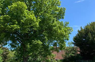 Le Clos des Buis 2 gîtes 6CH 4 SDB 4 WC - Foto 34