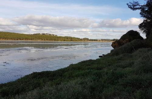 Casa do Canto - Uma casa no campo, perto da praia. - Foto 26