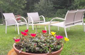 Casolare Giovangrande - Foto 45