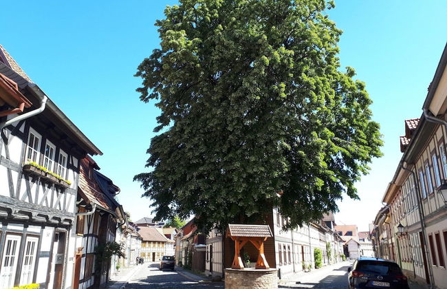 Ferienwohnung Nahe Wernigerode - Foto 39