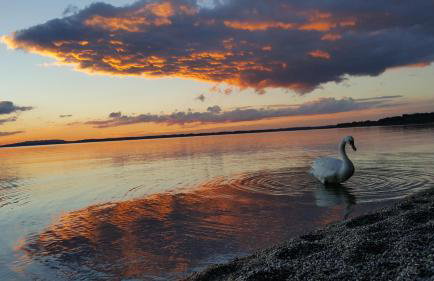 Beim Paulfischer - Eckbankerl - Foto 6