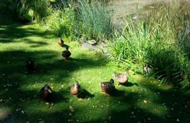 Sonniges Studio im Haus Deutsch Krone - Foto 17