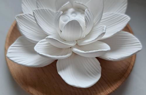 Relax Apartment Seenähe zum Kulkwitzer See - Photo 70